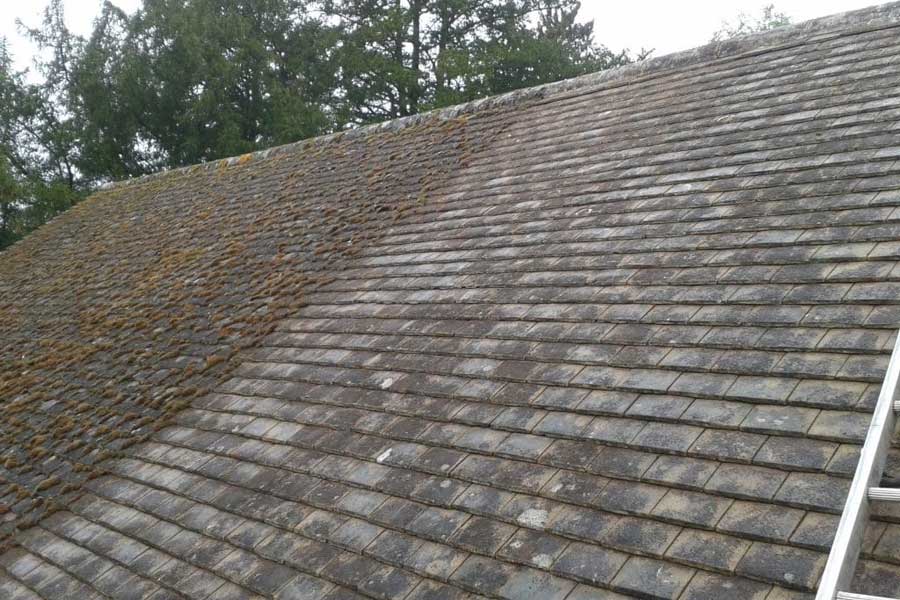 roof cleaning & painting services kilkenny, wexford & waterford local roofing & building